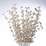 Package of 12 Winter White Berry Stems for Embellishing and Decorating