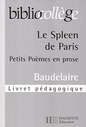 "Le  spleen de Paris", petits poèmes en prose, choix de poèmes, Baudelaire