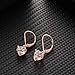 Buyless Fashion Girls And Women Dangle Earrings Rose Gold CZ Fashion Jewelry - EDGRSGHRT
