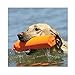 Avery Sporting Dog Canvas Training Bumper – Durable, Water-Resistant Training Dummy for Hunting Dogs (Orange, 2