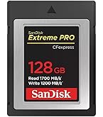 Amazon.com: SanDisk 128GB Extreme PRO CFexpress Card Type B