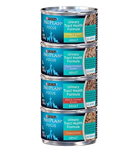 Purina Pro Plan Focus Wet Cat Food Urinary Tract Health (UTH) Variety Pack, 4 Flavors, 3-Ounce Cans  - //medicalbooks.filipinodoctors.org
