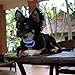 Our K9 Training Made Easy - Vibrating Dog Collar Using Sound & Vibration or Ultrasonic & Vibration. 100% Pain-Free - 100% Safe