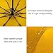 Rainlax Travel Windproof Umbrella Lightweight 10 Ribs Automatic Compact Canopy Umbrellas for Men/Women One Handed Operation