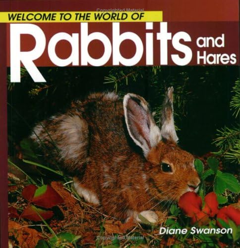 Welcome to the World of Rabbits and Hares (Welcome to the World Series)