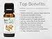 Biofinest Palo Santo Essential Oil - 100% Pure Organic Therapeutic Grade - Best for Aromatherapy, Immune System, Ease Headache Insomnia Cold Flu Sore Throat Muscle Joint Pain - Free E-Book (10ml)
