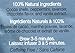 Stash Tea Christmas In Paris 10 Teabags in Foil (Pack of 12) (packaging may vary) Individual Herbal Tea Bags for Use in Teapots Mugs or Cups, Brew Hot Tea or Iced Tea