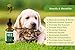 Hemp Oil for Dogs and Cats - 1000 mg / 250 mg - 100% Organic Hemp Extract for Pets - Supports Anxiety Relief, Hips & Joint Pain, Arthritis, Allergy, Seizures, Inflammation, Immune System Aid (1000 mg)