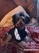 Idepet Soft Cotton Adidog Cloth for Dog, XL, Black