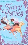 Fairy Ponies Pony Princess (Young Reading Series Three)