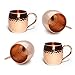 Copper Splash 30oz/900ml Pure Copper Water Bottle and 16oz hammered Moscow Mule Mug Bundle (Plain Copper)