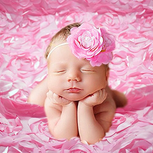 Newborn Baby Photography Photo Props 3D Rose Flower Backdrop Beanbag Blanket Rug (Pink)