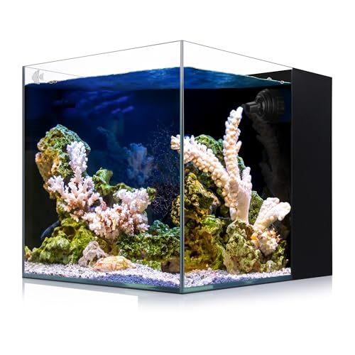 Coralland Saltwater Aquarium