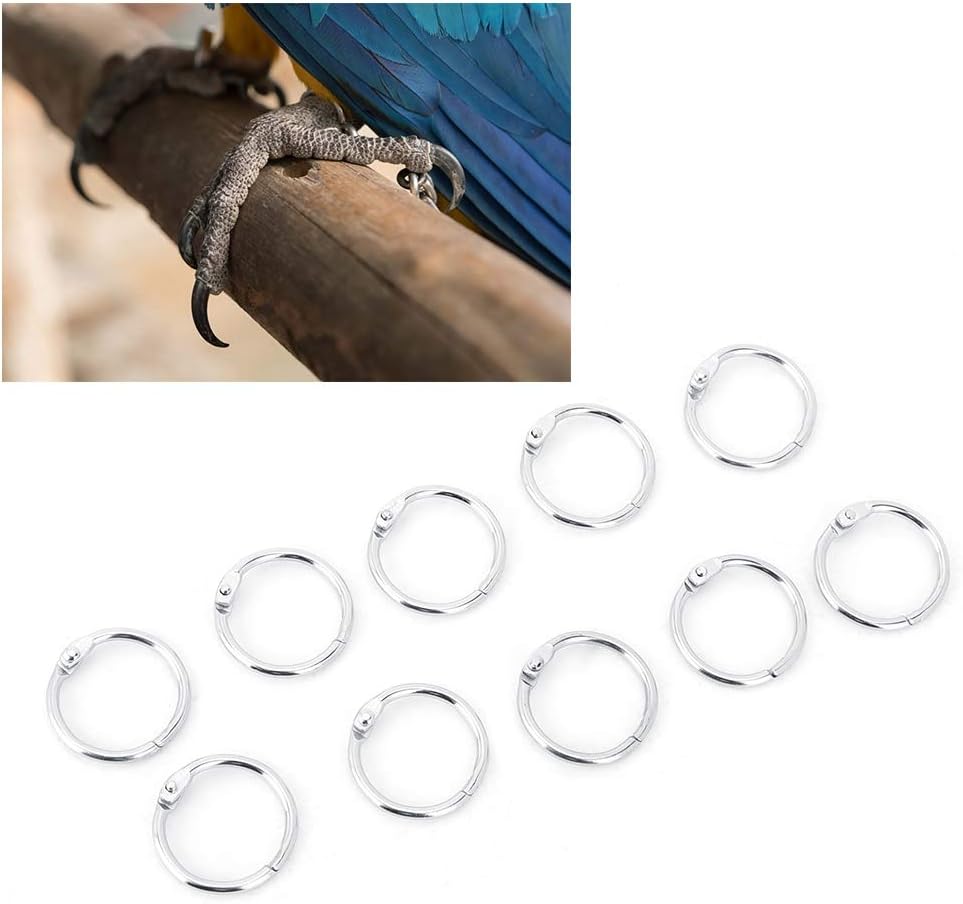 10PCS Bird Foot Rings Sturdy Parrot Iron Anklet Buckle Pigeon Foot Ring Set Animal Feeding Tools