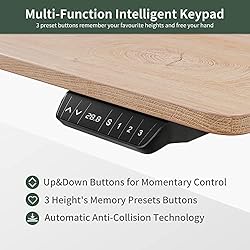 FEZIBO Electric Standing Desk, 48 x 24 Inches