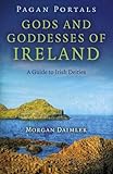Pagan Portals - Gods and Goddesses of Ireland: A Guide to Irish Deities by Morgan Daimler