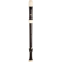 AULOS Symphony Bass Recorder Baroque Type with Hard Case 533B (E