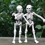 Kalttoyi Movable Mr. Bones Skeleton Human Model Skull Full Body Mini Figure Toy Halloween