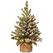 National Tree 2 Foot Snowy Concolor Fir Tree with Snowy Cones and 50 Battery Operated Warm White LED Lights in Burlap Base (SR1-328-20-B)