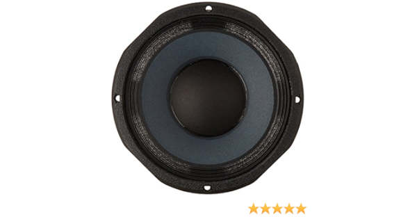 10 inch 4 ohm guitar speaker