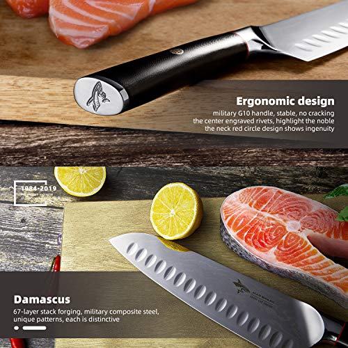 Damascus Santoku Knife- MAD SHARK Pro Kitchen Knives 8 Inch Chef's Knife, Best Quality Damascus Steel Knife with Ergonomic Handle, Razor Sharp, Best Choice for Home Kitchen & Restaurant