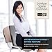 AirGo Products Cooling Gel Memory Foam Lumbar Cushion