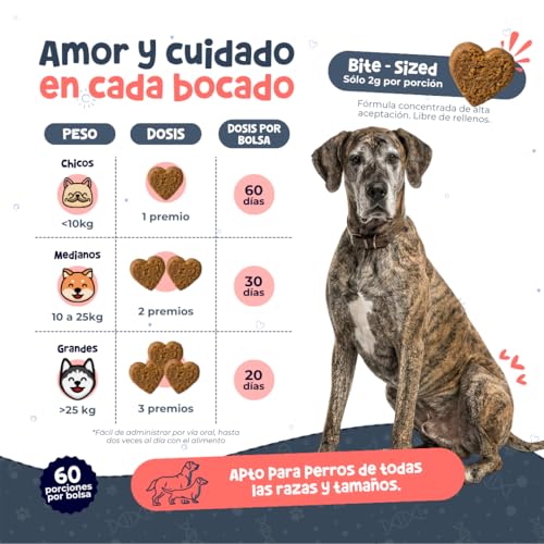 Waggy’s NAD+ - Suplemento Longevidad y Antiedad Perros | Energía, Prevención y Función Cognitiva | Salud Celular y Vitalidad | Precursor NAD+, Complejo B, Resveratrol y Colágeno | 60 Soft Chews