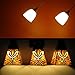 YOUKE Lighting G9 LED Bulb, 25 Watt Glass Halogen Light Bulbs Replacement, 120V AC, 3W / 250 Lumens, Warm White 3000K, T4 JCD Chandelier Incandescent Lamp, Pack of 6