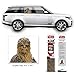 FanWraps Star Wars The Last Jedi Chewbacca Passenger Series Window Decal Sunlight Diffusing Decal