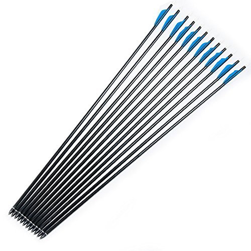 XGeek 30Inch Carbon Arrow Practice Hunting Arrows With Removable Tips for Compound & Recurve Bow(Pack of 12) (Carbon Arrow 1) (balck4)