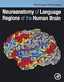 Neuroanatomy of Language Regions of the Human Brain