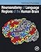 Neuroanatomy of Language Regions of the Human Brain