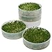 Victorio VKP1014 4-Tray Kitchen Seed Sprouter