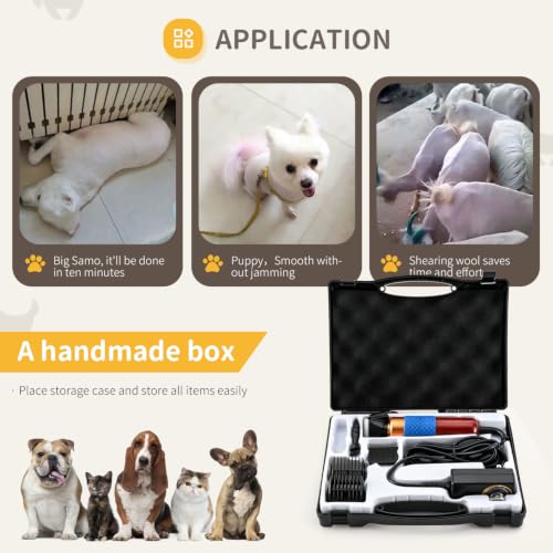CGOLDENWALL Dog Clipper 200W, Low Noise, 3 m Cable, Dogs Cats | Professional, 2 Blades, 2000-6000RPM, Sheep Rabbits, All Hair