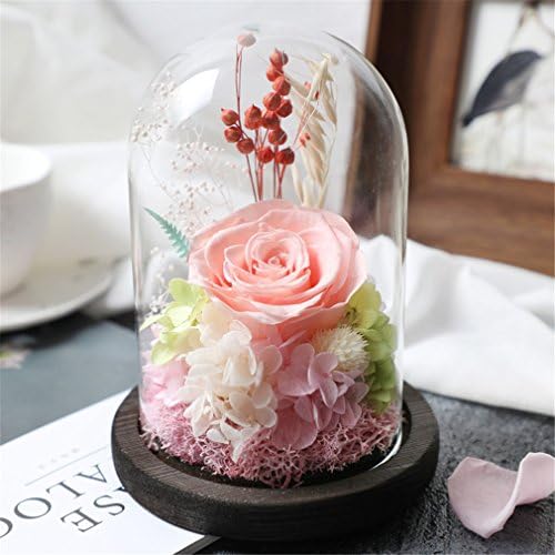 Beauty And The Beast Rose, Live Forever Rose in Glass, Live Enchanted Rose, Preserved Rose %100 Natural