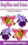 Daylilies and Irises: Growing and Caring for 2 Easy-To-Grow, Colorful Perennials