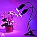 Rozway Grow Light, Grow Lamp for Indoor Plants | HIGH YIELDS | Dual Head Gooseneck Plant Lights for Indoor Plants Red Blue Spectrum with Replaceable Bulbs