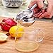 Lemon Squeezer