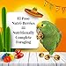 LAFEBER'S El Paso Nutri-Berries Pet Bird Food, Made with Non-GMO and Human-Grade Ingredients, for Parrots, 10 oz