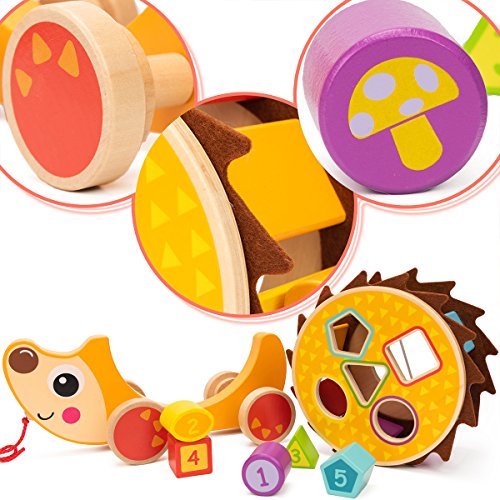 cossy Wooden Shape Sorter Pull Toy - Wooden Hedgehog Puzzle for Toddler Learning Walk-A-Long Push & Educational Toy for 1 Year Old