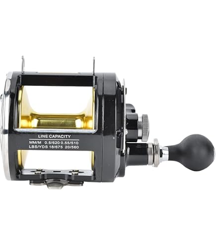 Fishing Reel, Conventional Jigging, Saltwater Fishing, Heavy Duty, for Marine, Deep Sea, and : Sports & Outdoors