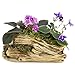 Window Garden Natural Elements Log Planter (Trunk) – Realistic Woodland-Themed with Intricate Weathered bark Detail. Grow Small Succulents, Cactus, African Violets. Striking in Any décor.