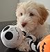 Disney Nightmare Before Christmas Pumpkin King Rope Tug Chew Dog Toy, Two Built-in Squeakers, Multi-Sensory Toy