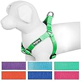 Blueberry Pet 7 Colors Step-in Classic Dog Harness, Chest Girth 19.5