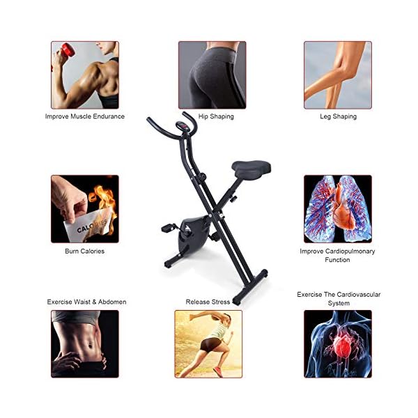 Uten F-Bike Exercise Bike, Fitness Bicycle,Sporting Equipment,Foldable Indoor Trainer for Home Use，Different Resistance…