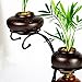 Awesomes Air Plant Stand/Flower Pot Stand Holder Iron Pothook Stand for Hanging Glass Terrarium (Iron Stands-L)thumb 3