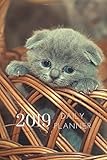 2019 Kitten Cat Daily Planner 4