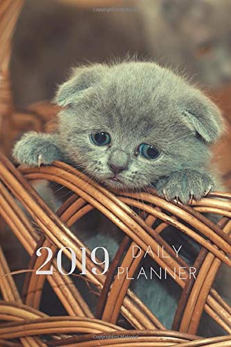 2019 Kitten Cat Daily Planner 4