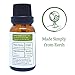 Simply Earth Pine Essential Oil 15 ml, 100% Pure Therapeutic Grade