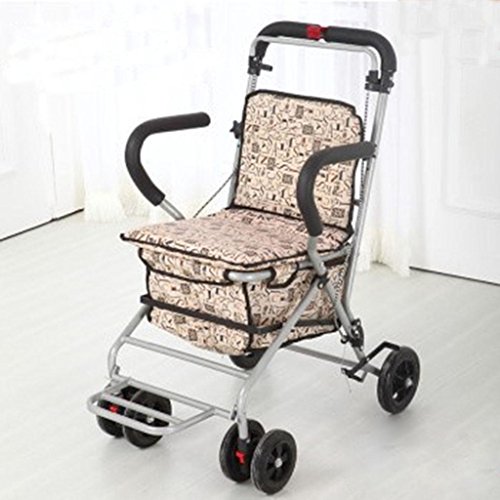 Buy Shopping Cart iron Elderly Folding Shopping Leisure Can be Hand